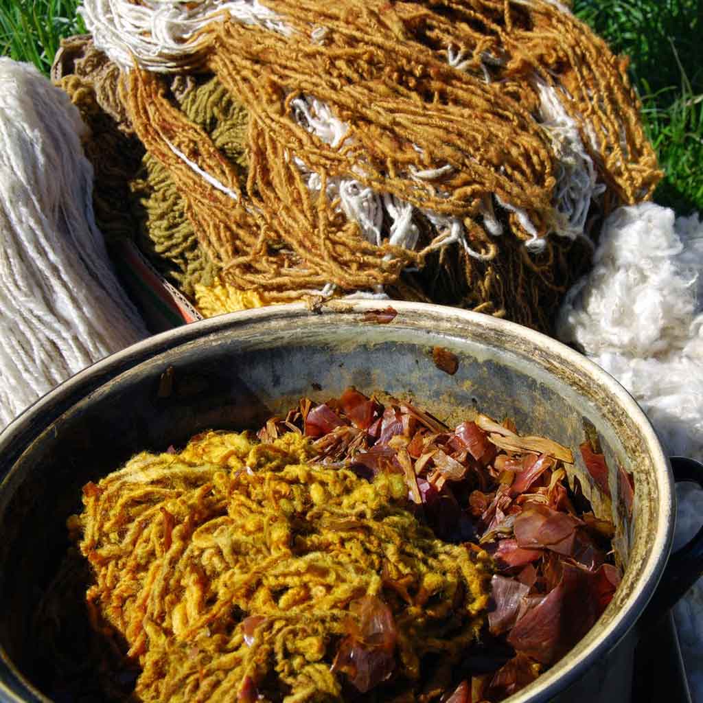 plant dyeing wool